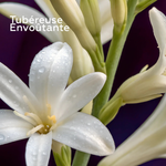 Recharge Bouquet parfumé - Minuit Chéri