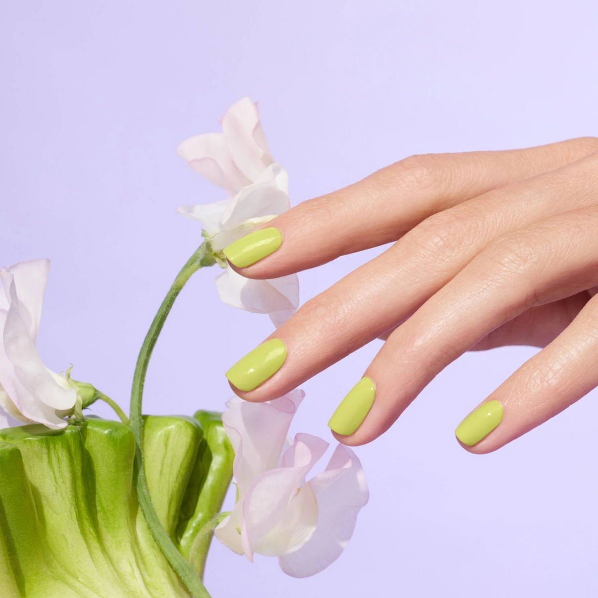 Vernis Green - Lime