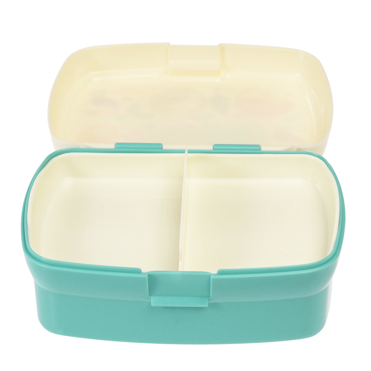Lunch Box Wild Wonders