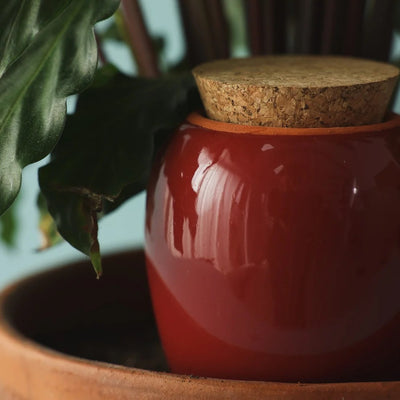 Olla Bordeaux 25cl
