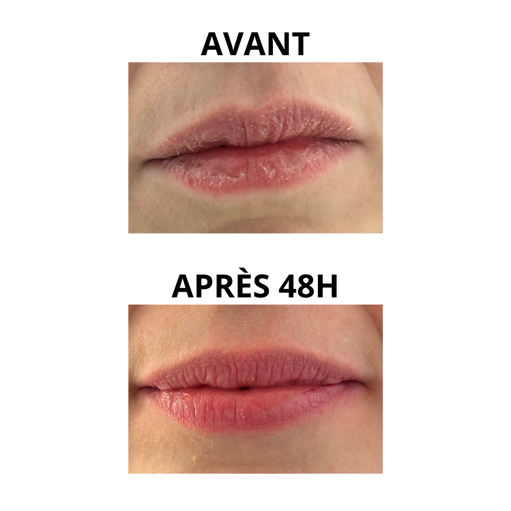 Fantastick Baume & Blush - Le Rose