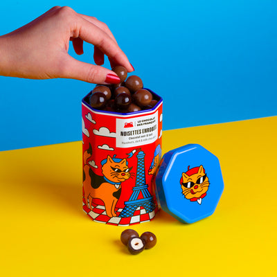Boîte Métal Chiens – Noisettes enrobées de Chocolat Noir et Lait (125g)