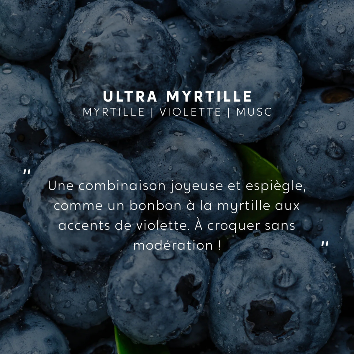 Bougie parfumée - Ultra Myrtille