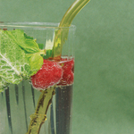 Sirop BIO - Jasmin