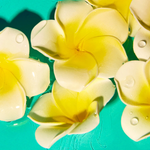 Huile Cheveux Protectrice - Moana