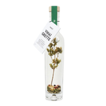 Vinaigrette - Italienne aux herbes
