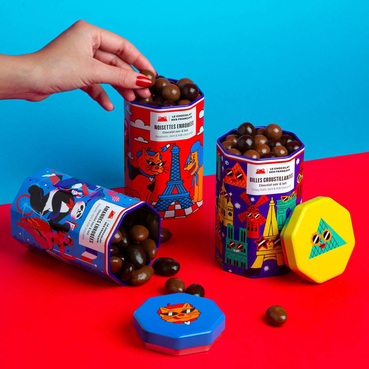 Boîte Métal Chiens – Noisettes enrobées de Chocolat Noir et Lait (125g)