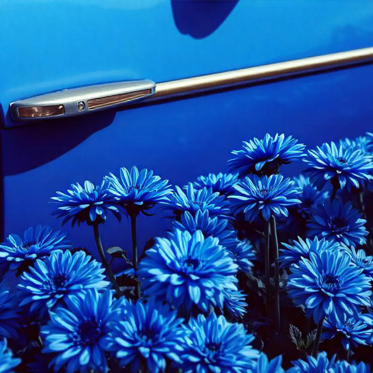 Parfum de voiture Blue Ginger - Gingembre Pétillant