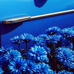Parfum de voiture Blue Ginger - Gingembre Pétillant