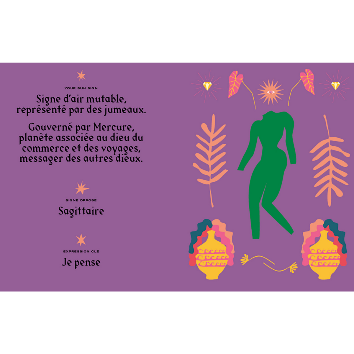Livre signe astrologique gemeaux