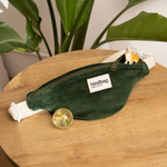 Augustin - Velours Sapin