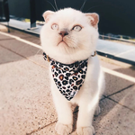 Bandana Chat - Wild Wild Wouf