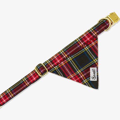 Bandana Chien - Oh My Lord