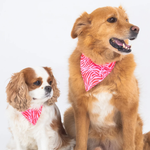 Bandana Chien - Pink Zebra