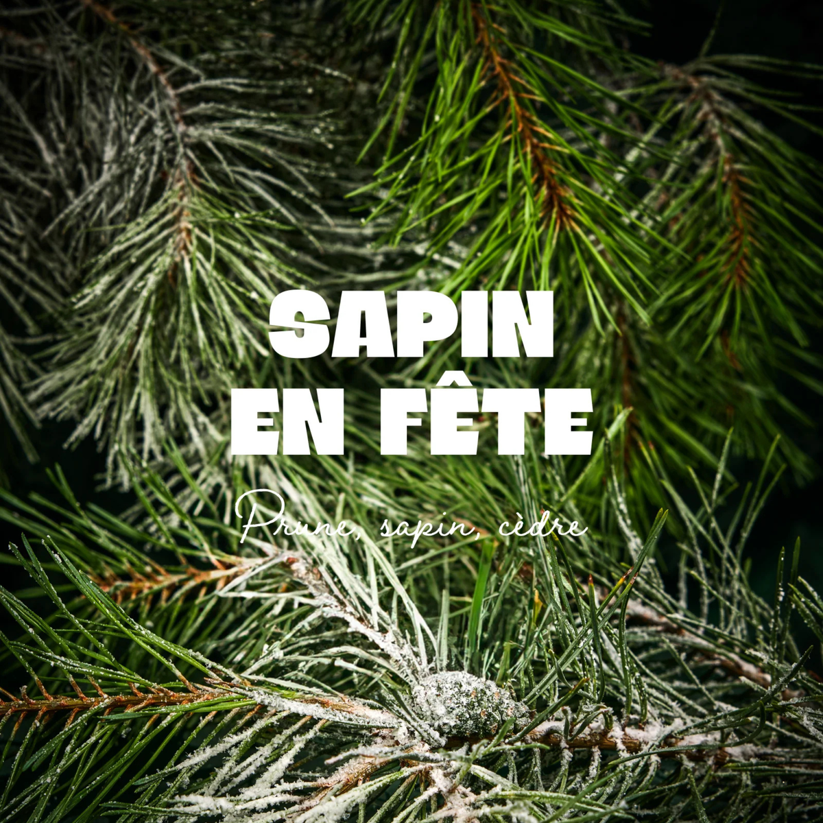 Bougie bijou - Sapin en Fête