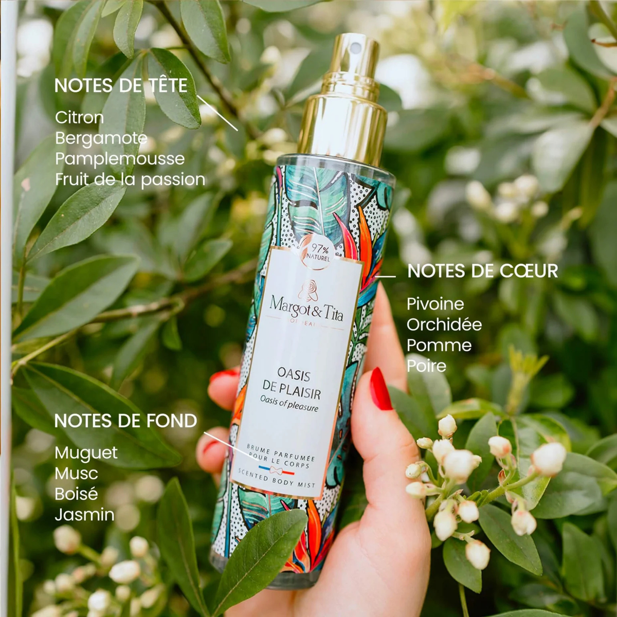 Brume - Oasis de plaisir