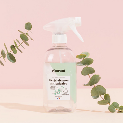 Bouteille rechargeable spray Anti-Calcaire 500 ml
