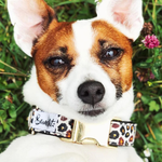 Collier Chien - Wild Wild Wouf