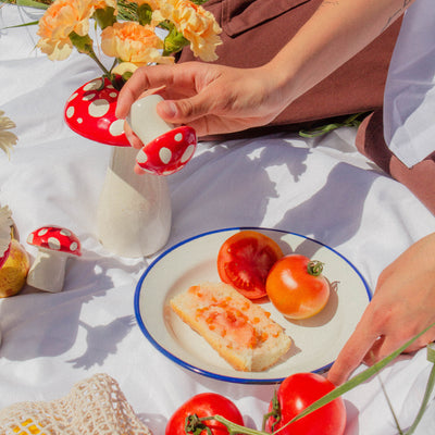 Duo Salière & Poivrière "Amanite Rouge" – Champignon Fantaisie