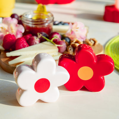 Duo Salière & Poivrière "Marguerite Rouge et Rose" – Style Floral