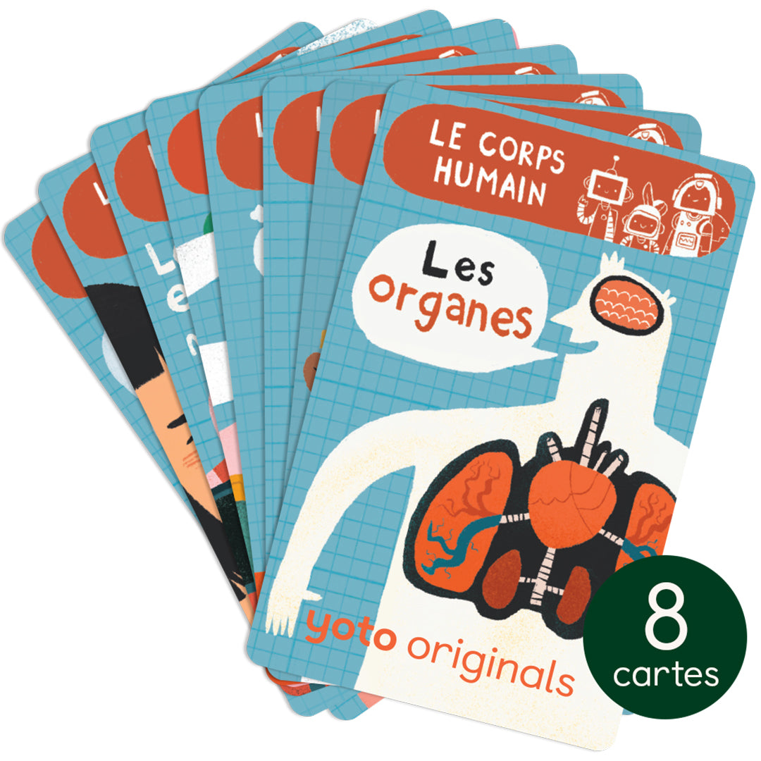 Pack - Explorobots : Le corps humain