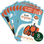 Pack - Explorobots : Le corps humain