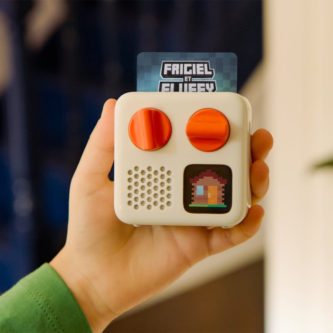 Carte - Frigiel et Fluffy 1 : le retour de l'Ender Dragon