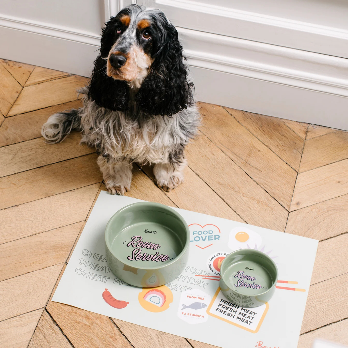 Gamelle Chien & Chat - Room Service