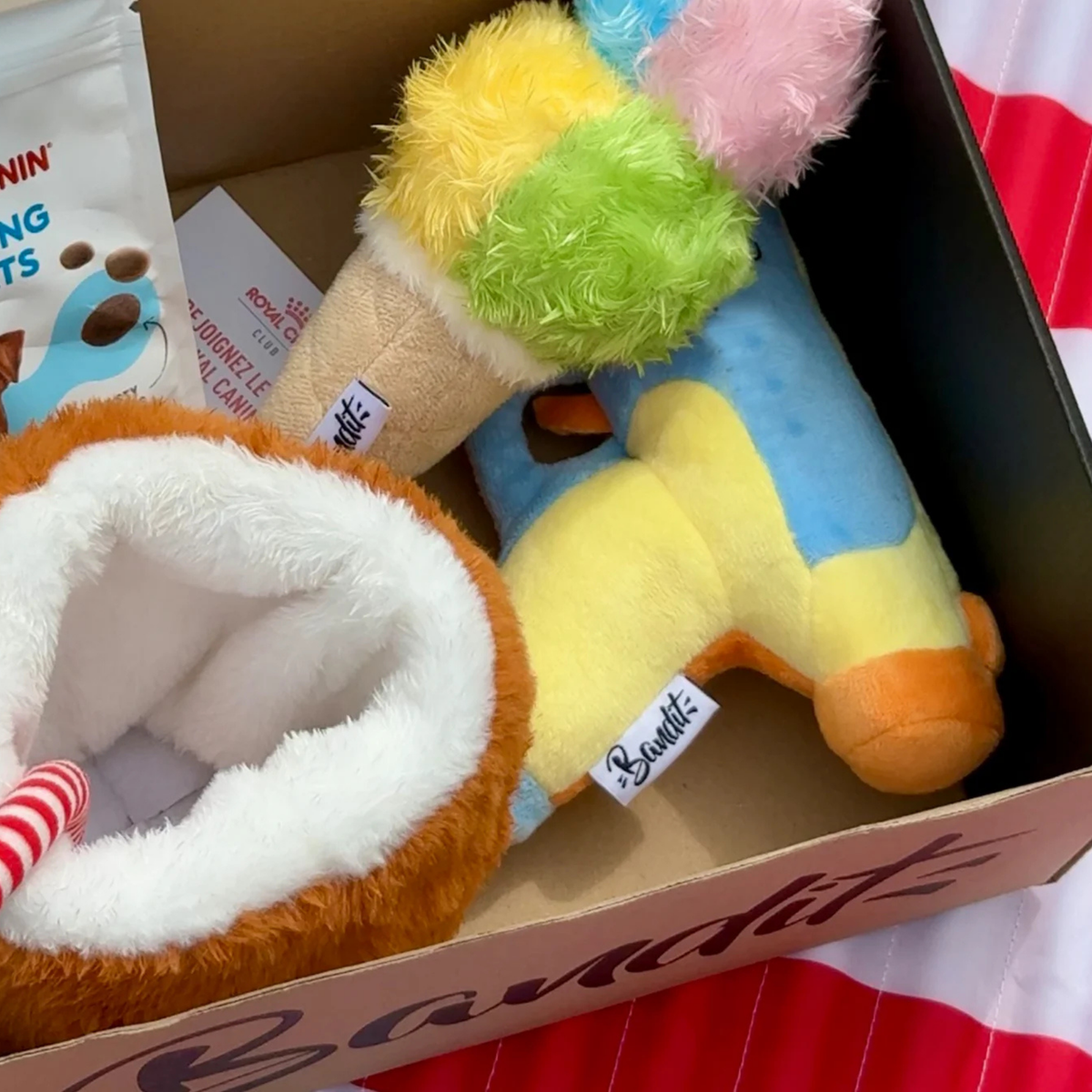 Jouet - Pistolet à eau