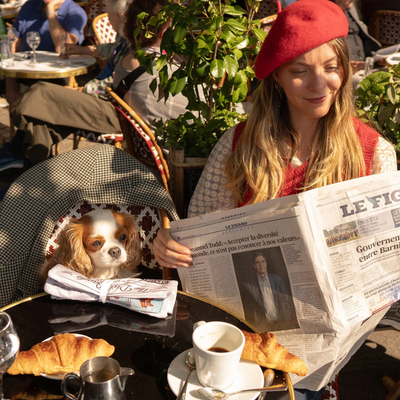 Jouet Chien - Journal / tapis de fouille
