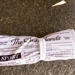 Jouet Chien - Journal / tapis de fouille