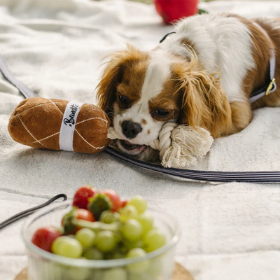 Jouet Chien - Saucisson