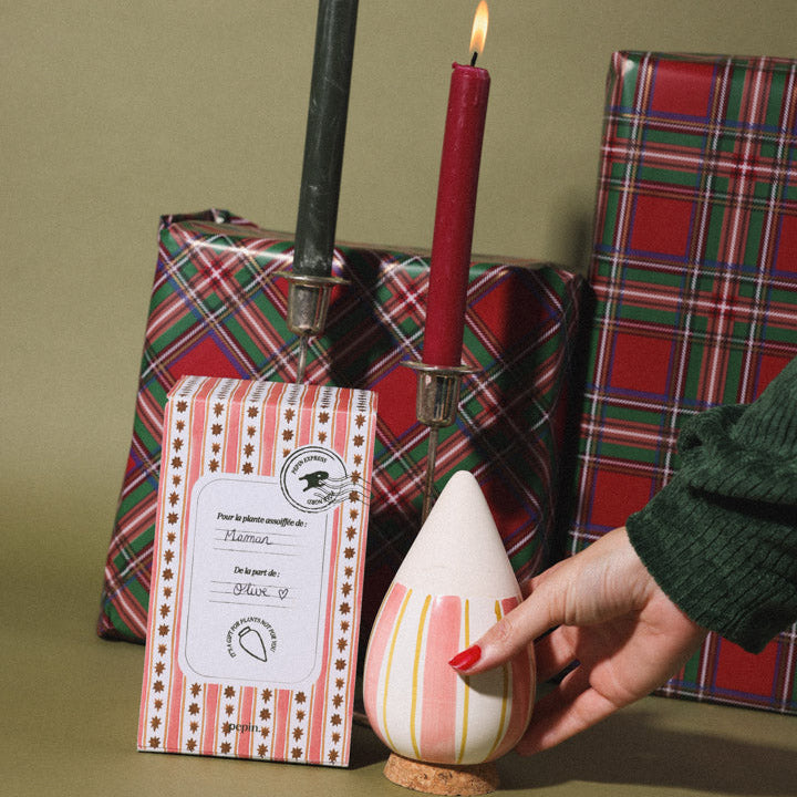 Olla Edition de Noël 25cl