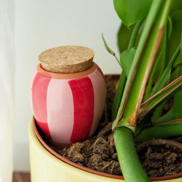 Réservoir d'eau Olla Rayé rose et rouge