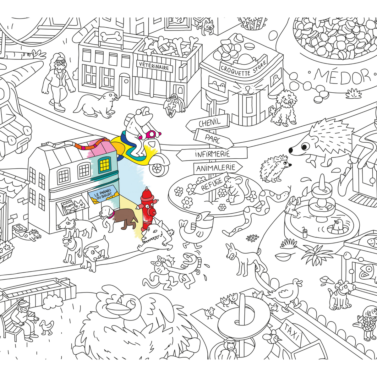 Poster à colorier - Animal City