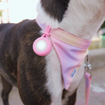 Pendentif lumineux Chien - Rose
