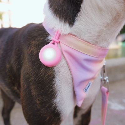 Pendentif lumineux Chien - Rose