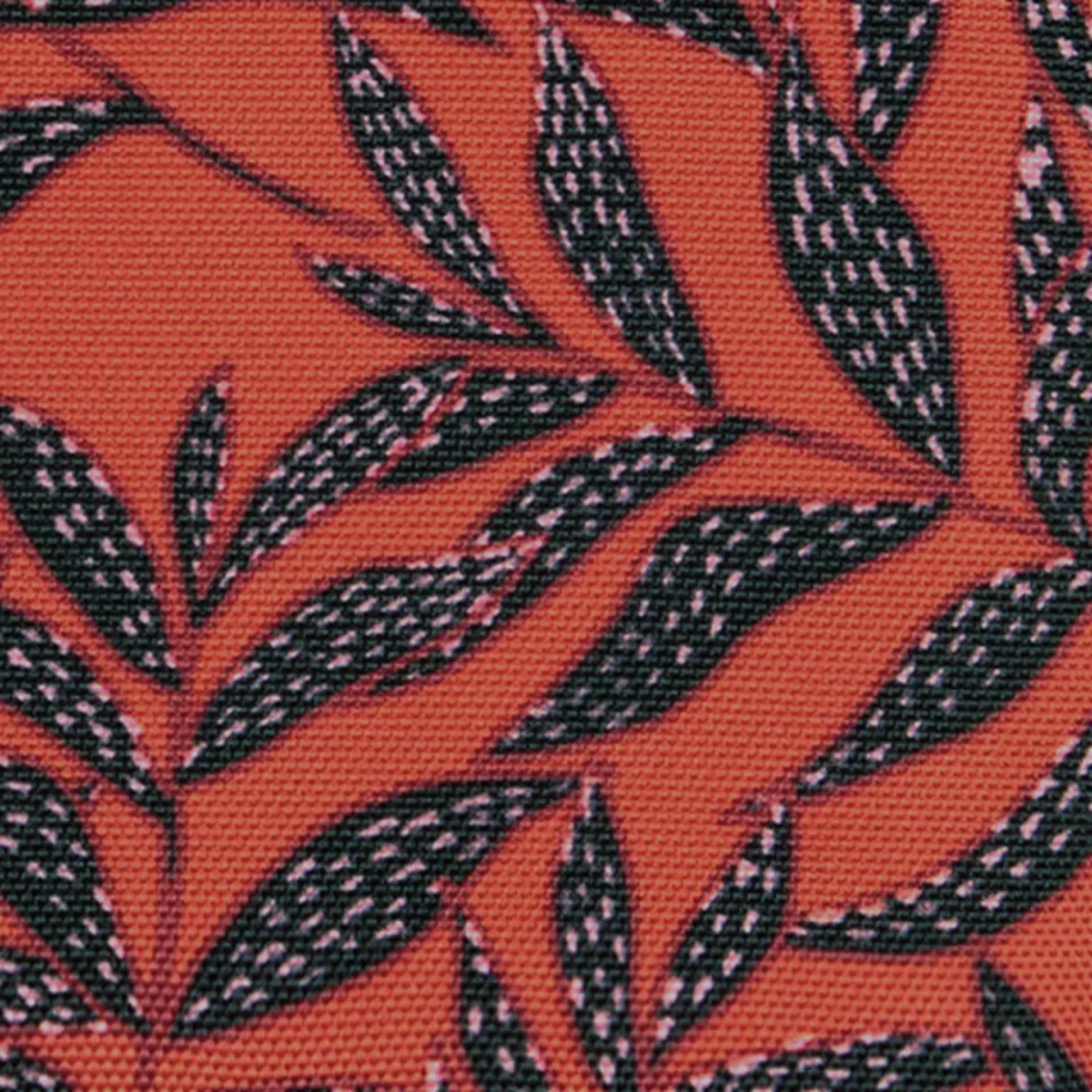 Pochette avant - Adelaide