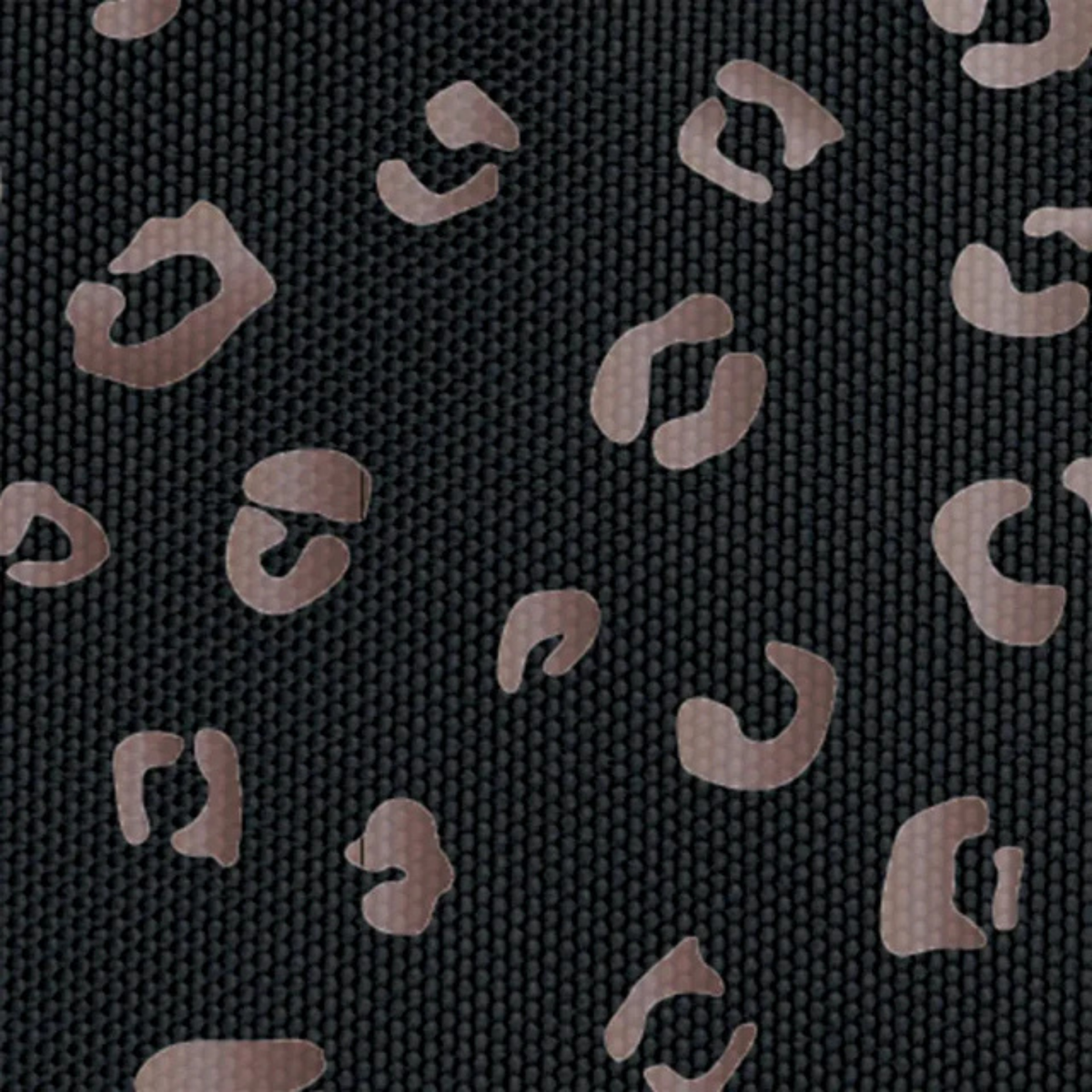 Pochette avant - Monastery Beach