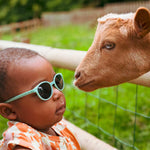 Lunettes de Soleil Enfant WAZZ – Menthe
