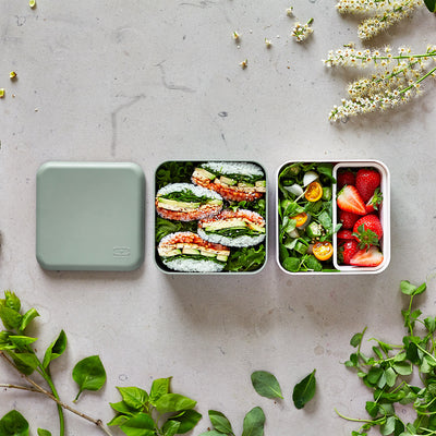 Lunch Box - Vert Naturel
