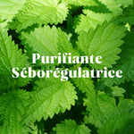 Shampoing Purifiant Cheveux à tedances grasses poudre à diluer 30 gr