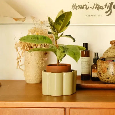 Pot autonome Paulita - Vert