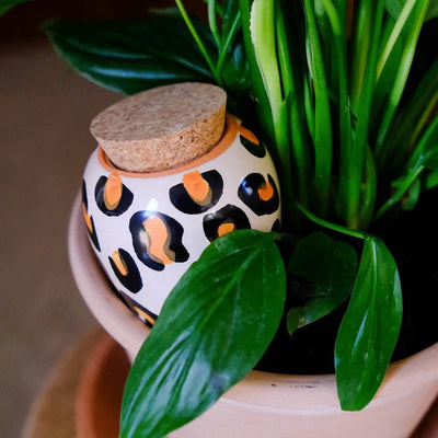 Réservoir d'eau Olla Léopard