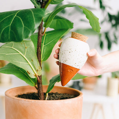 Réservoir d'eau Olla - Blanc grainé