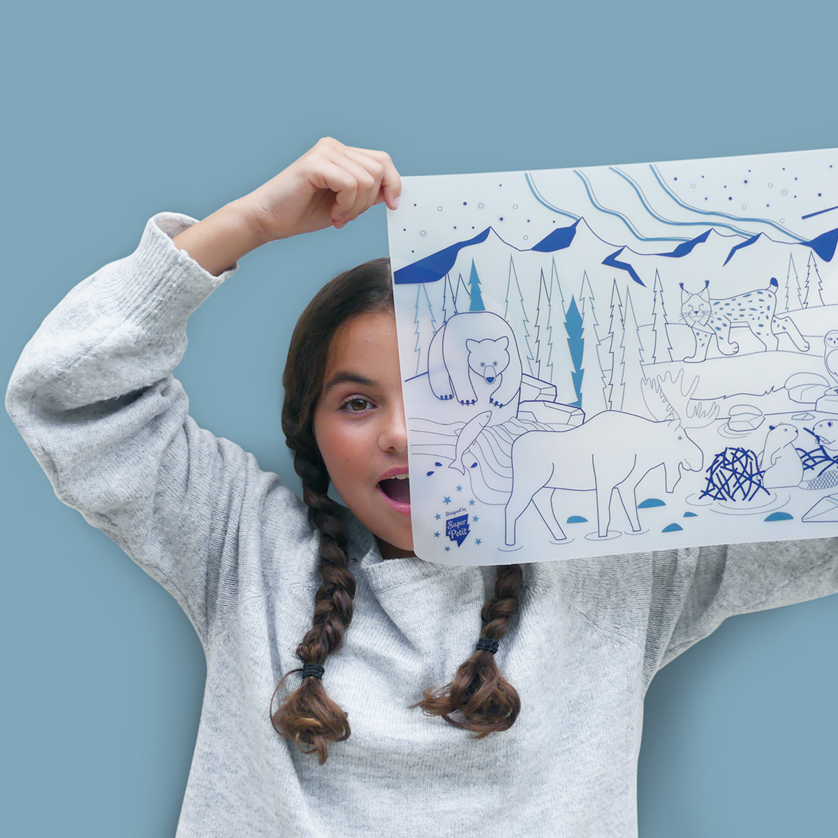 Coloriage effaçable et réutilisable - Forêt Boréal