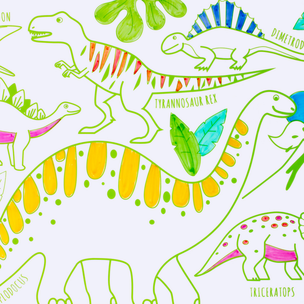 Coloriage effaçable et réutilisable - Dino