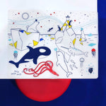 Coloriage effaçable et réutilisable - Sur la banquise